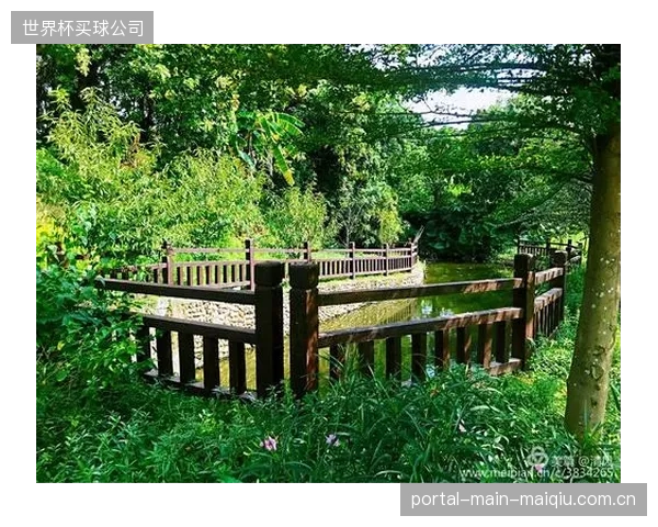被忽视的B面：挡雪墙锚固的大规模钻探与施工，其对高山生态和植被的长期影响亟待评估